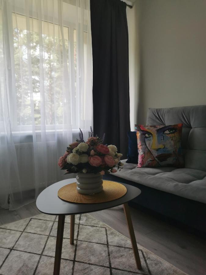 Upes Apartamentai Biržai 외부 사진